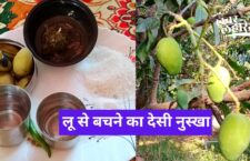 know how to make aam panna