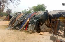 Fatehpur news, Kuchbandia community living under foil houses amid severe heat