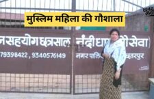in-chhatarpur-district-gaushala-run-by-a-muslim-woman