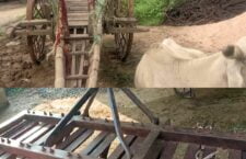 extinction of traditional technology in field plowing, gaon ki khasiyat