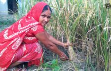 International Day of Rural Woman, story of the first female head of the village