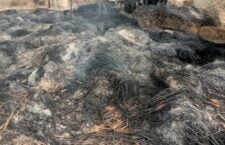 Banda news, 80 tractor fodder kept for cattle burnt to ashes