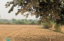 uttar pradesh news, Farmers are facing difficulty in sowing fields