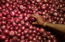 Onion Price Hike: Central government will give onion at Rs 25 per kg, currently only in some cities