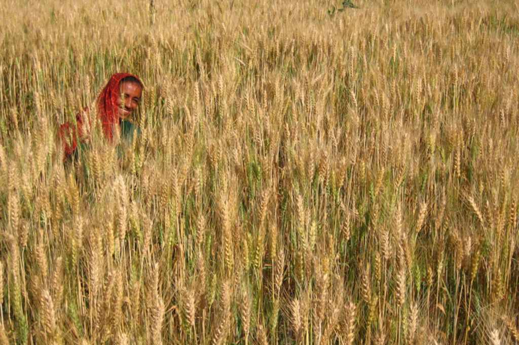 सामाजिक दबाव और प्रचलित सांस्कृतिक प्रथाएं महिलाओं को भूमि पर अपने अधिकार का दावा करने से रोकती हैं। | चित्र साभार: मीना कादरी / सीसी बीवाय