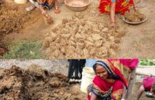 know-how-to-make-cow-dung-cakes