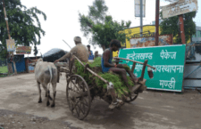 Tractors replaced bullock carts, gaon ki khasiyat