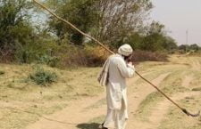 World Environment Day 2024, Rivers of Bundelkhand dried up