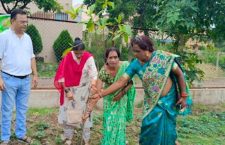 World Environment Day celebrated by planting trees in Durg district