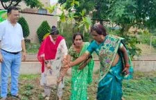 World Environment Day celebrated by planting trees in Durg district