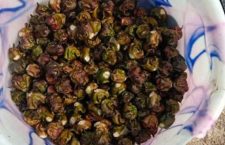 Farmers in Varanasi cultivating water chestnuts