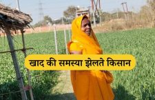 "Varanasi News: Farmers' Growing Concern Over Wheat Crop Due to Urea Fertilizer Shortage"