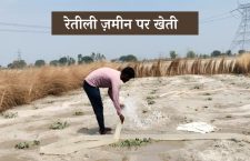 how-do-farmers-cultivate-on-sandy-lands-of-majha-ayodhya