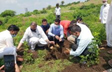 World Environment Day