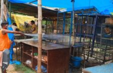 chicken shop photo