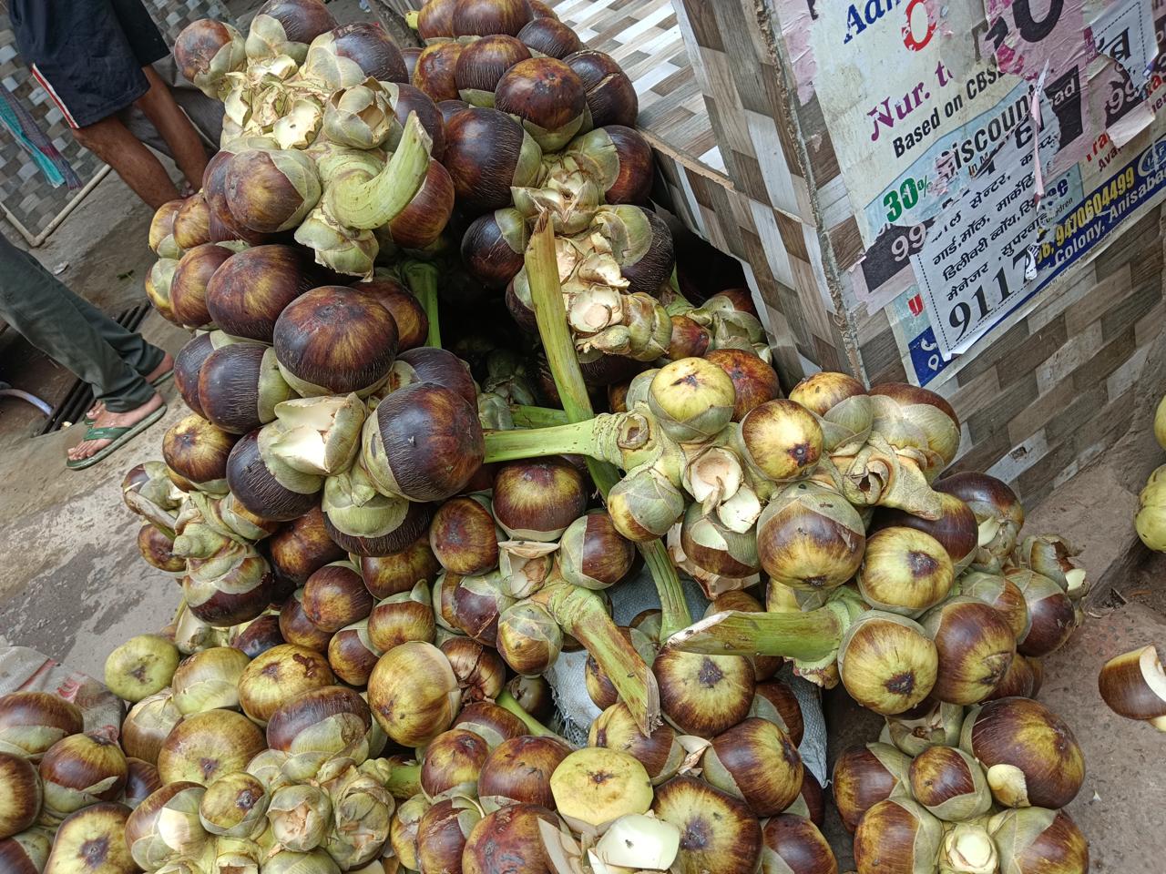 picture of palm fruit