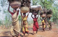 tribes of chhattisgarh
