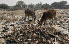 garbage dump in the slum