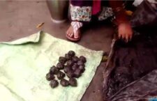 Coal laddus