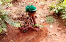 women planting trees