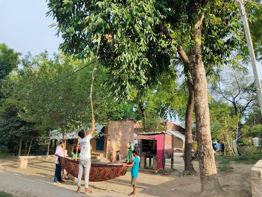 Photo of people using sticks to pluck berries from the tree and standing underneath holding a cloth