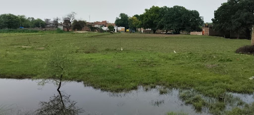 Fields are still filled with water due to flood