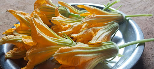 pumpkin flowers