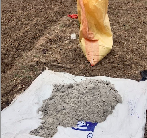 fertilizer for crops