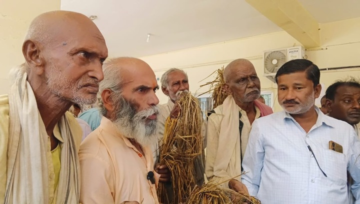 Farmers reached the district headquarters with their damaged crops.