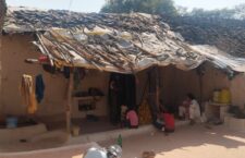 houses made of raw and foil