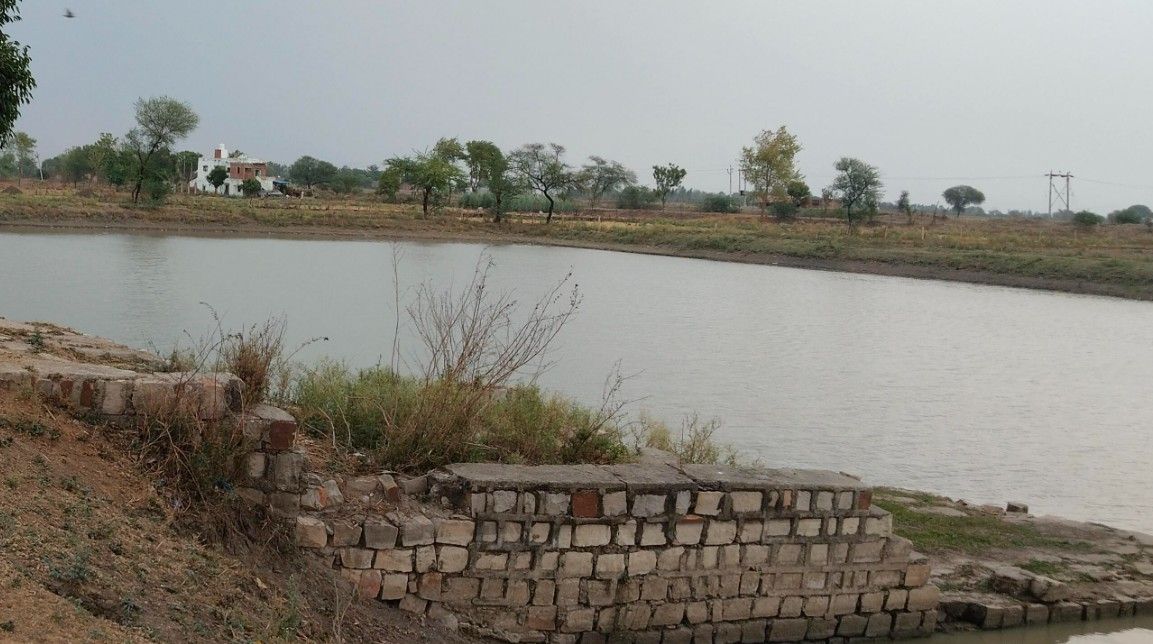 UP/Chitrakoot News: चित्रकूट जिले के सुरौन्धा गांव के तालाब अब भी सुंदरीकरण का कर रहे इंतजार
